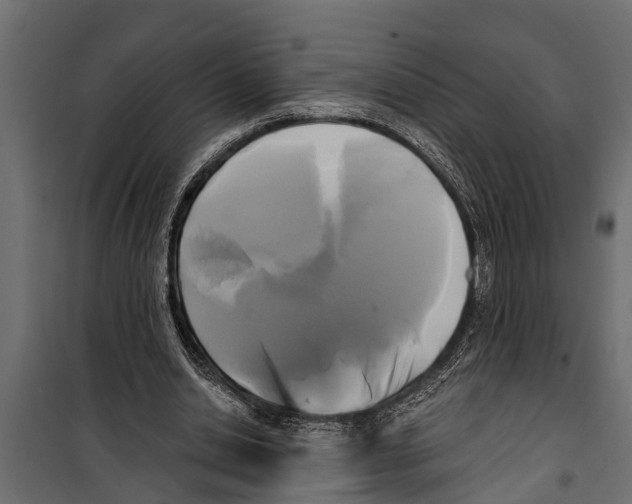 X0000099960438200806201341