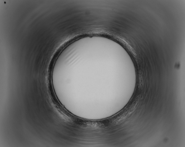 X0000099960439200806201341