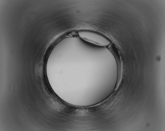 X0000099960440200806201341