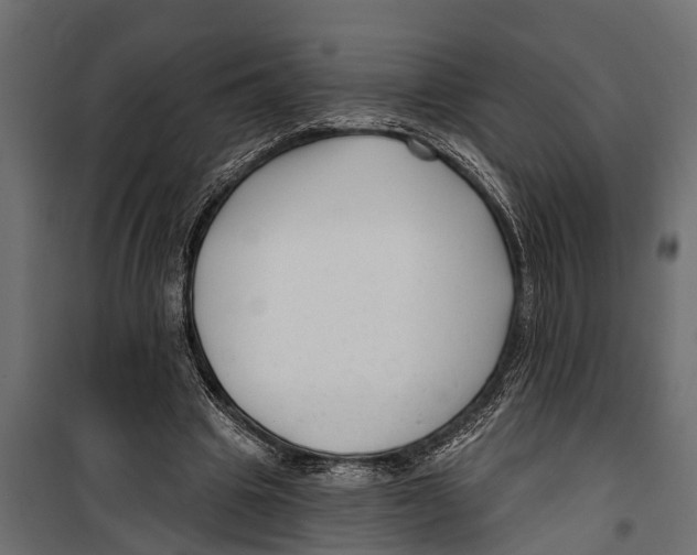 X0000099960441200806201341