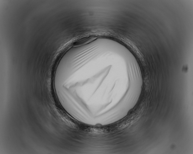 X0000099960442200806201341