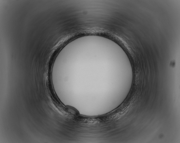 X0000099960443200806201341