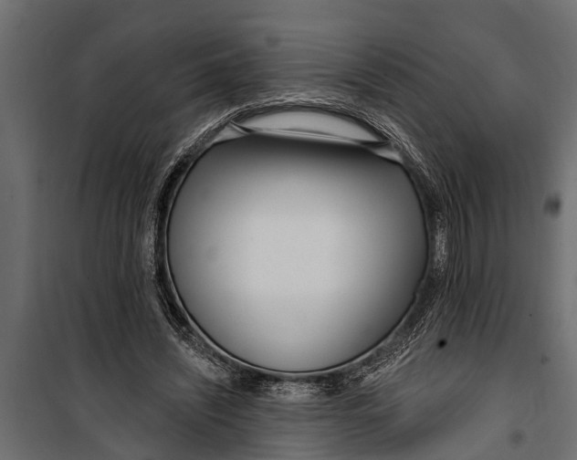 X0000099960444200806201341