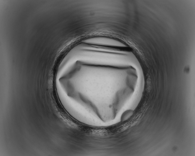 X0000099960446200806201341