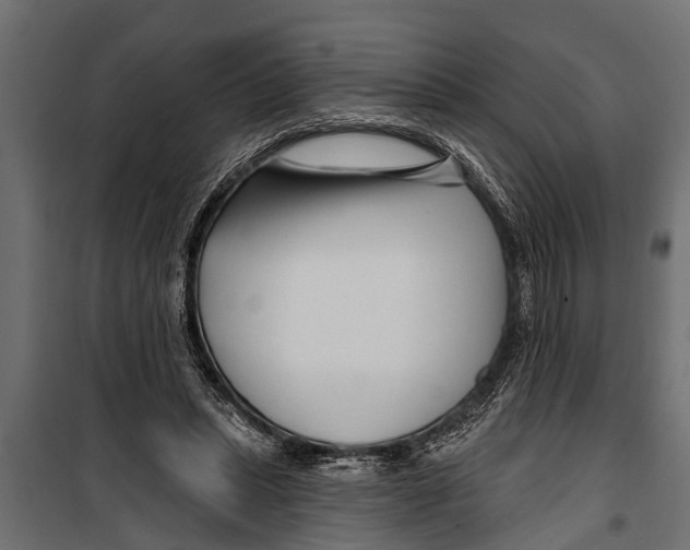 X0000099960447200806201341