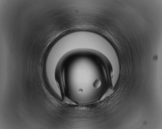X0000099960448200806201341