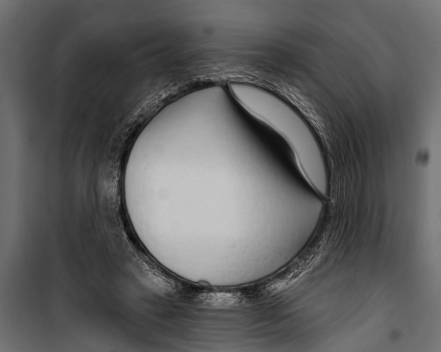 X0000099960449200806201341