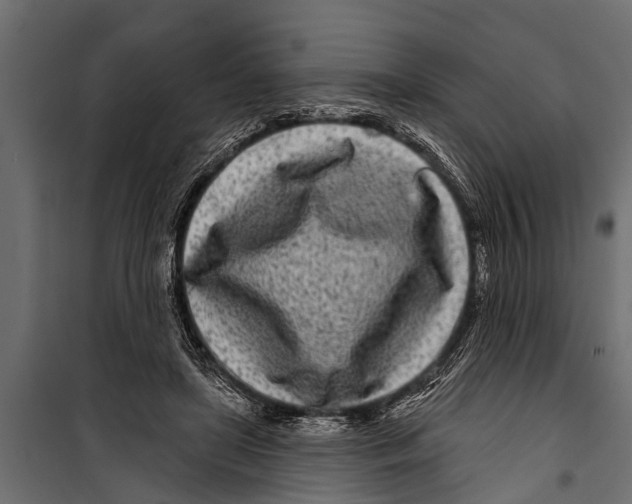 X0000099960451200806201341