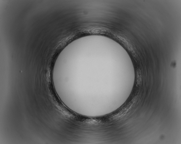 X0000099960453200806201341