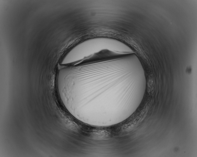 X0000099960454200806201341
