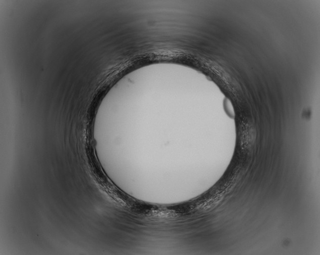 X0000099960455200806201341
