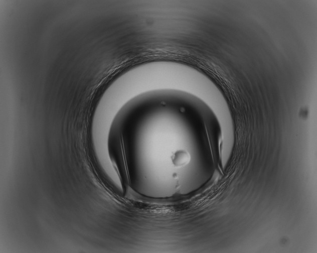 X0000099960456200806201341