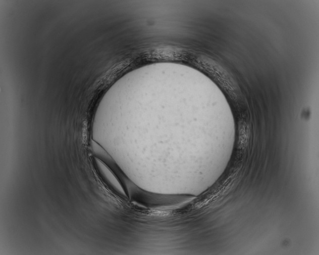 X0000099960457200806201341