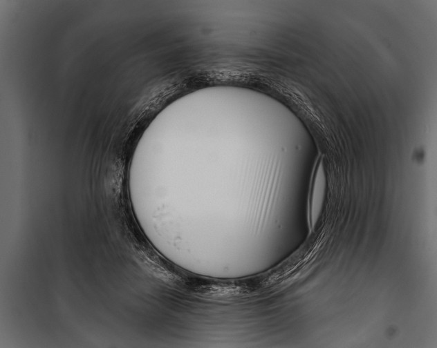 X0000099960458200806201341
