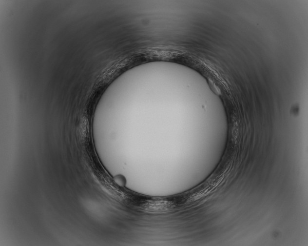 X0000099960459200806201341