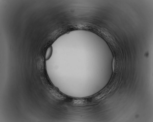 X0000099960461200806201341
