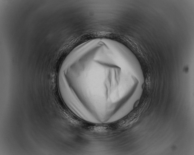 X0000099960462200806201341