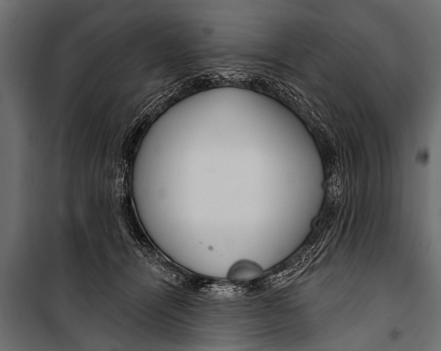 X0000099960464200806201341