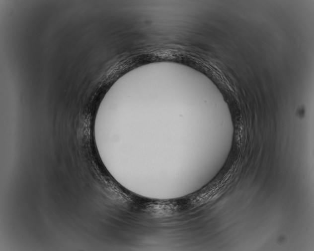X0000099960466200806201341