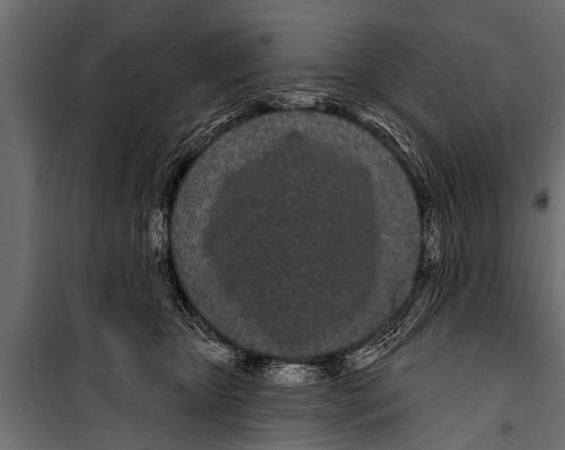X0000099960467200806201341
