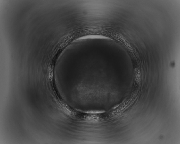 X0000099960471200806201341