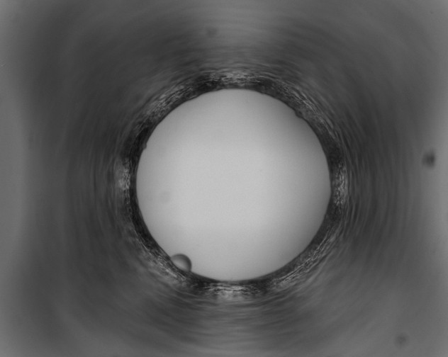 X0000099960472200806201341