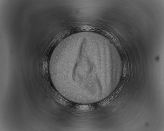 X0000099960473200806201341