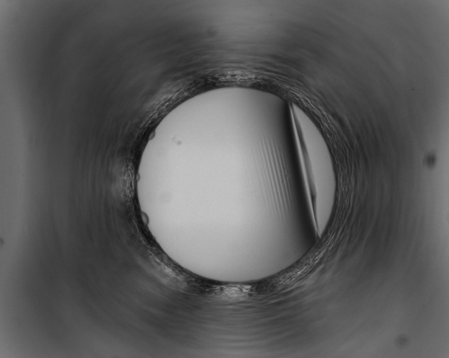 X0000099960474200806201341