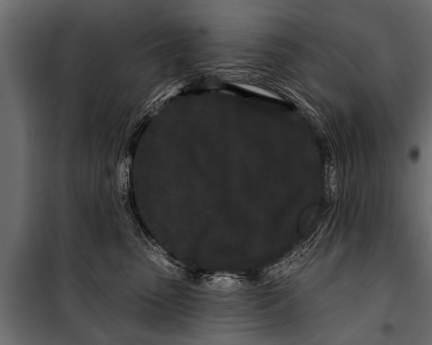 X0000099960475200806201341