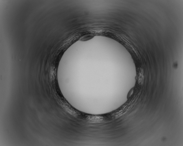 X0000099960476200806201341