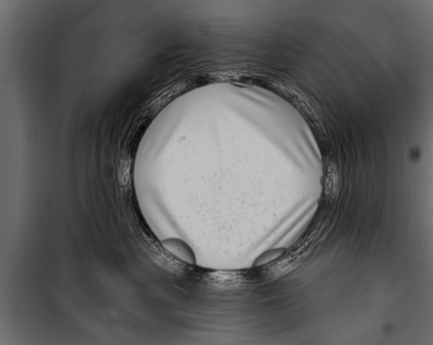 X0000099960477200806201341