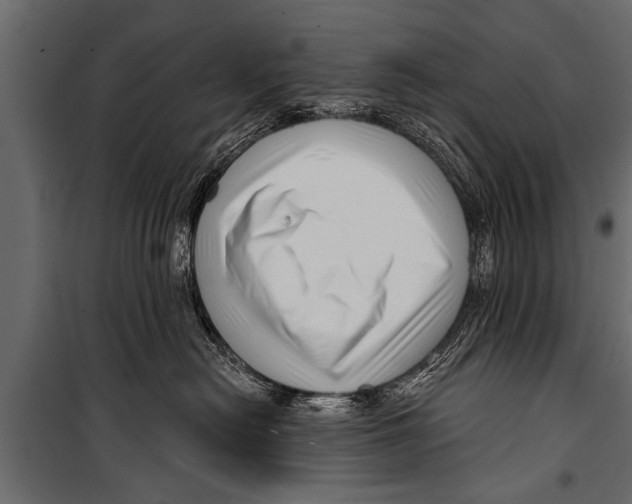 X0000099960478200806201341
