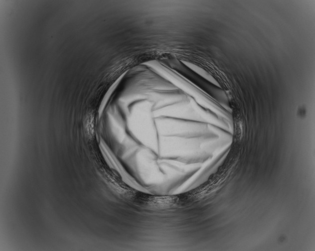 X0000099960479200806201341