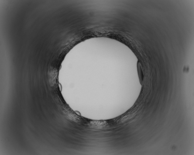 X0000099960480200806201341