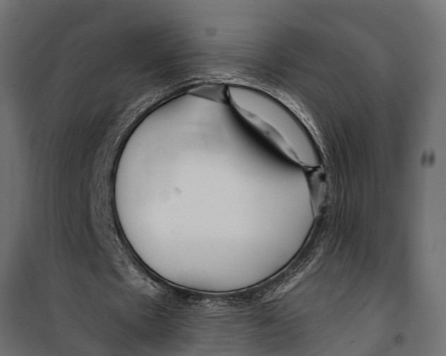 X0000099960481200806201341