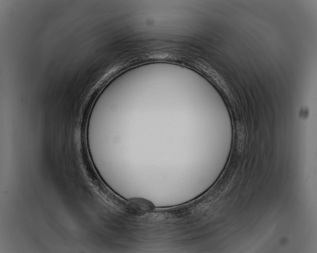 X0000099960482200806201341
