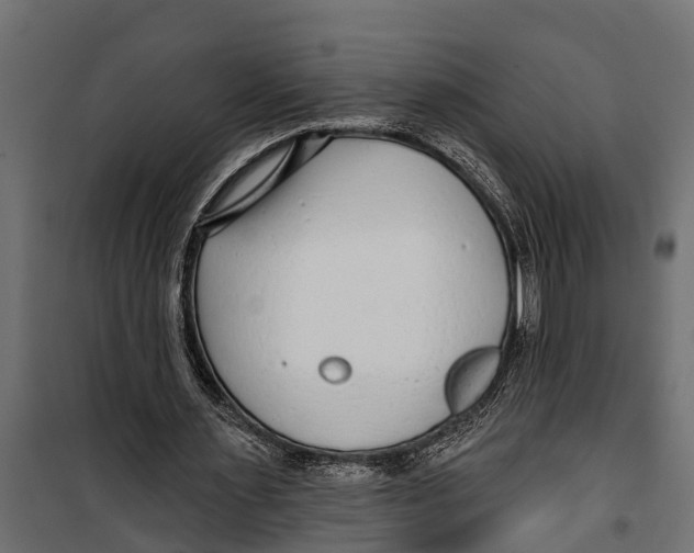 X0000099960483200806201341
