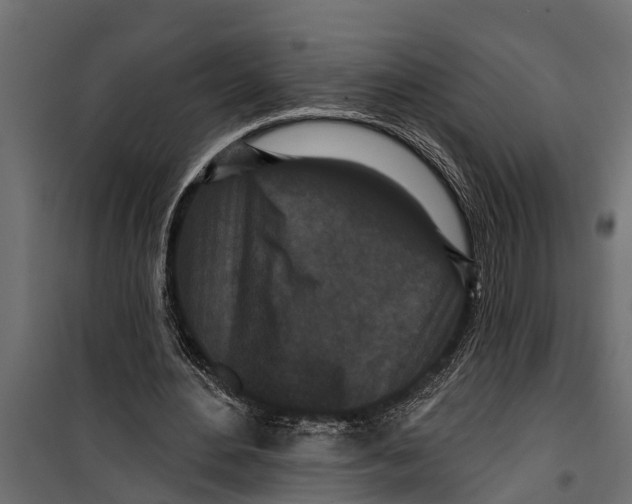 X0000099960484200806201341