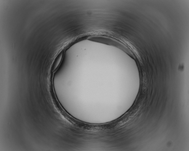 X0000099960485200806201341