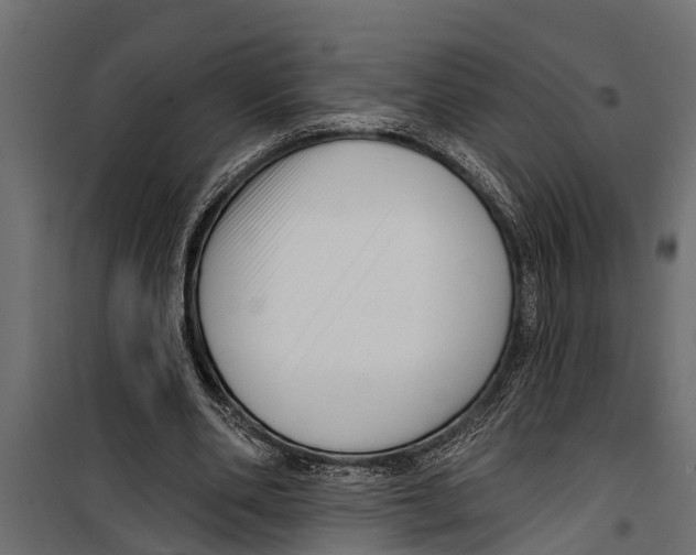 X0000099960486200806201340