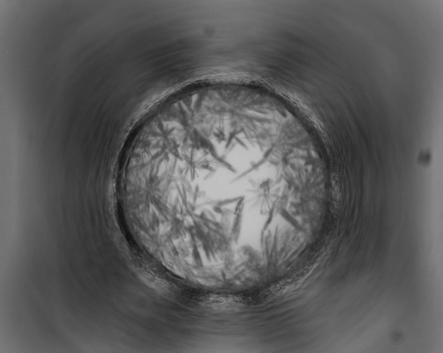 X0000099960487200806201340