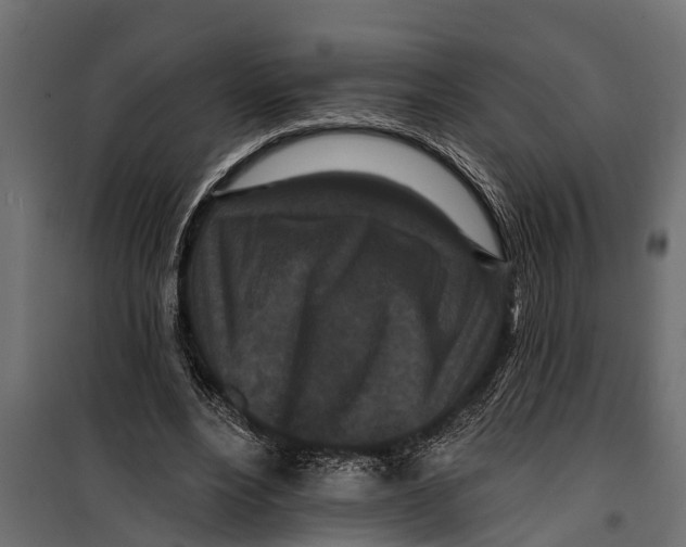 X0000099960488200806201340