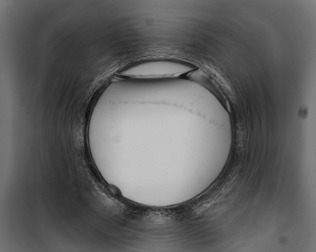 X0000099960489200806201340