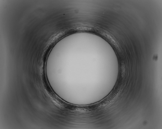 X0000099960490200806201340
