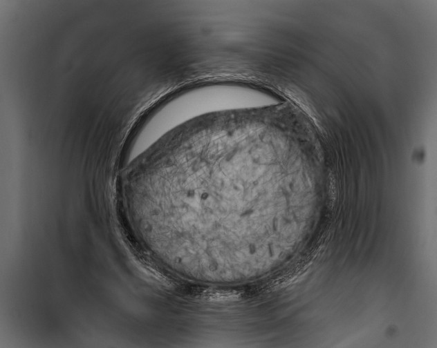 X0000099960491200806201340