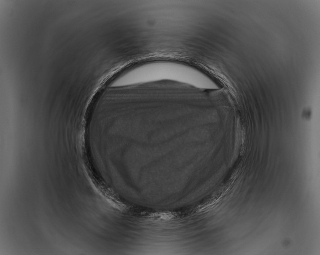X0000099960492200806201340