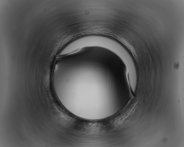 X0000099960493200806201340