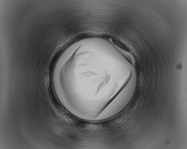 X0000099960494200806201340