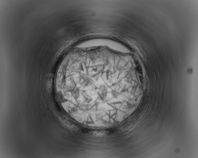 X0000099960495200806201340