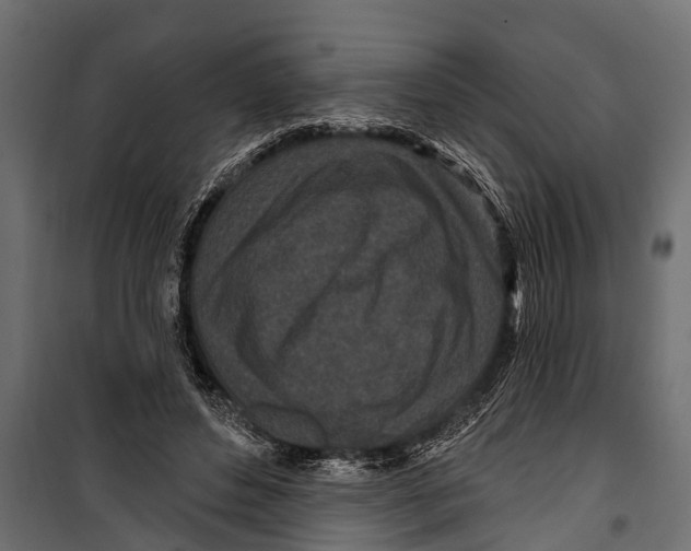 X0000099960496200806201340